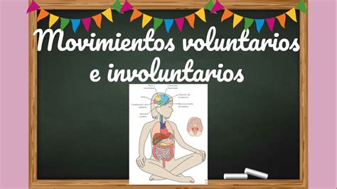 Movimientos Voluntarios E Involuntarios Youtube