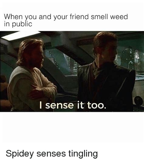 When You And Your Friend Smell Weed In Public I Sense It Too Spidey Senses Tingling Meme On Sizzle