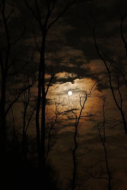 Full Moon Dark Spooky Free Photo On Pixabay