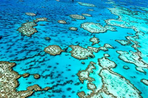 Explore The Great Barrier Reef With David Attenborough Lonely Planet