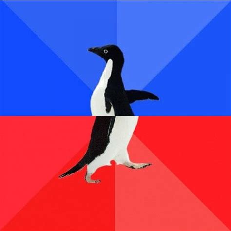Socially Awkward Awesome Penguin Blank Meme Template Imgflip
