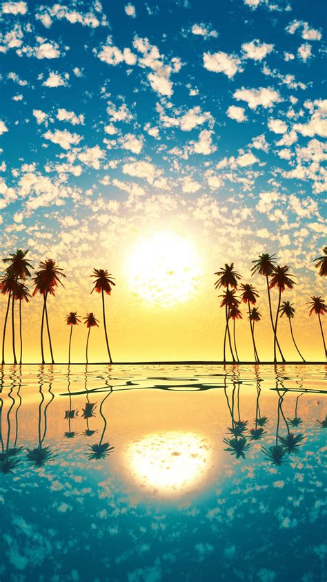 Free Download Sunset Palm Tree Cloud Sky Reflection 4k Ultra Hd Mobile