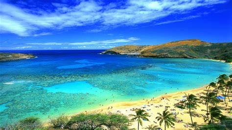 Hawaii Beaches Wallpapers Top Free Hawaii Beaches Backgrounds