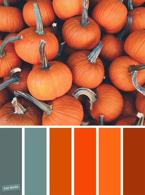 59 Pretty Autumn Color Schemes Orange Pumpkin Colour Inspiration