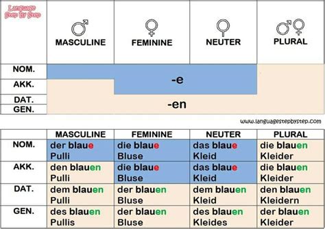 German Adjective Endings Before A Noun German Language German Grammar Learn German