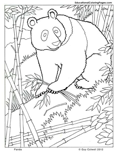 Download and print for free. Printable Pictures Of Mammals - Coloring Home
