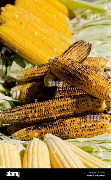 Roasted Corn On The Cob Hi Res Stock Photography And Images Alamy