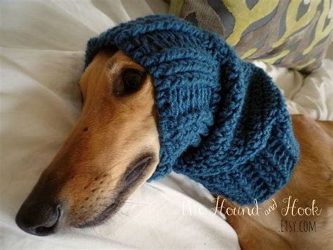 Pin On Greyhounds In Snoods