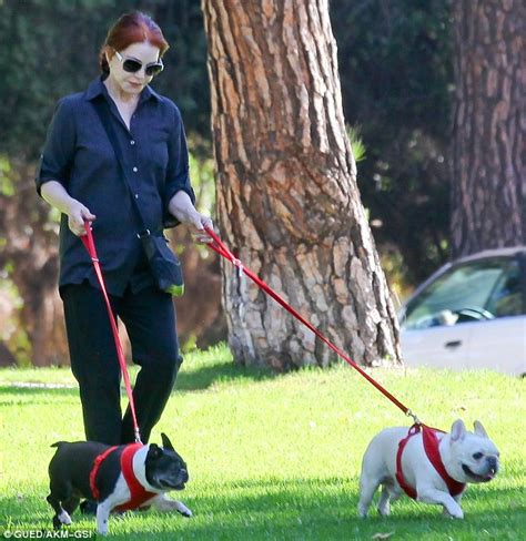 Priscilla Presley Enjoys A Sun Soaked Stroll With Her Beloved Pooches