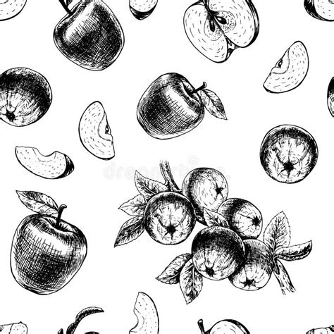Seamless Pattern With Apples Vector Sketch Stock Vector Illustration