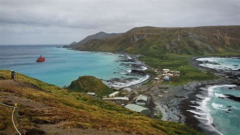 Postcard From Macquarie Island University Of New England Une