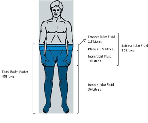 Body Fluids Part WFSA Resources