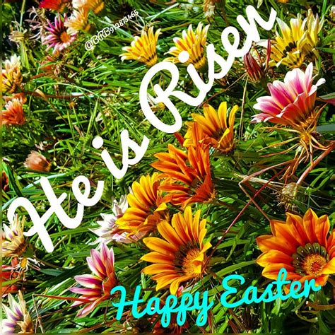 Happy Easter Everyone Hope Everyone Has An Amazing Day To Flickr
