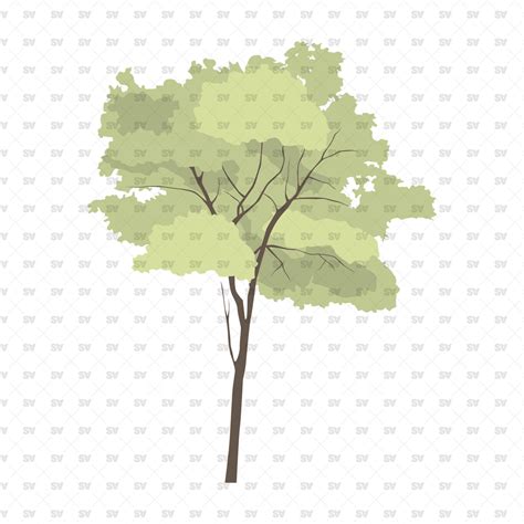 Pack Of 12 Illustrated Flat Vector Trees And Plants Download Ai And Png