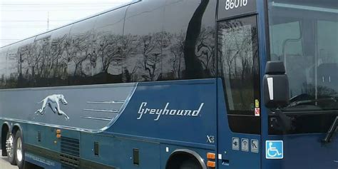 Passengers Left Stranded At Greyhound Bus Stop ‘we Came Out And They