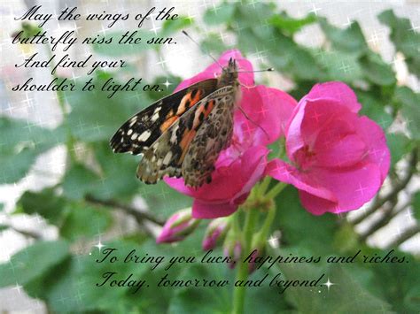 Mothers Quotes And Beautiful Butterfly Quotesgram
