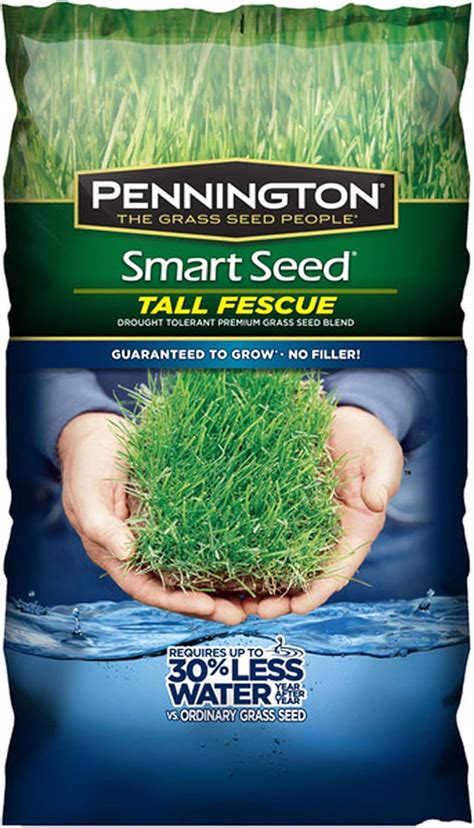 Buy Pennington Smart Seed Smart Tall Fescue Grass Seed 20 Lb Online In