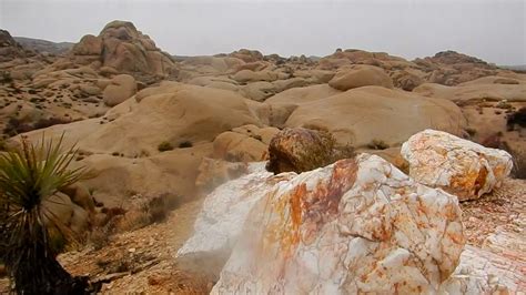 Twin Tanks Hike Rare Desert Waterfalls Joshua Tree National Park