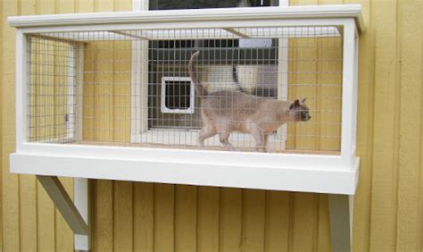 There are several styles of window perches for cats. Catio Spaces Are the Latest Pet Trend Taking the Internet ...