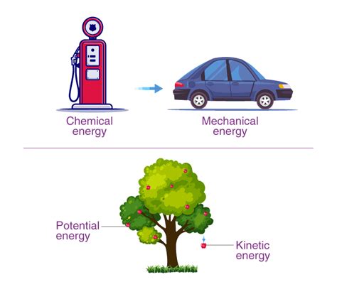 Law Of Conservation Of Energy Understanding Energy Conservation