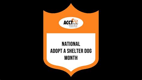 October Is National Adopt A Shelter Dog Month Youtube