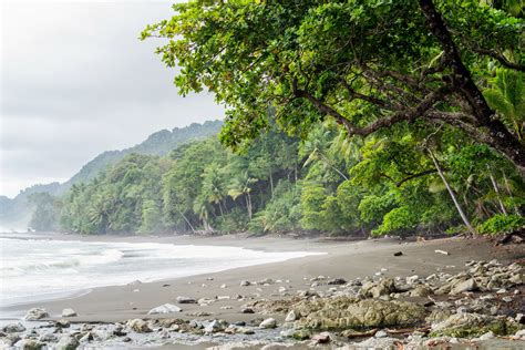 All About Hiking Snorkeling In Costa Ricas Corcovado National Park