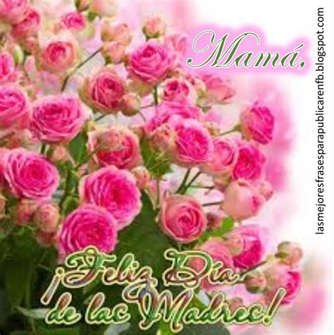 Feliz Dia De Las Madres Frases