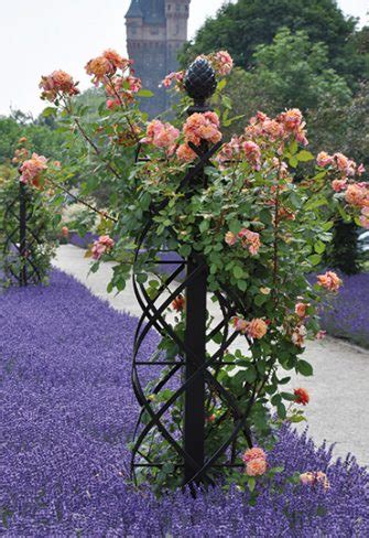 Check spelling or type a new query. High-quality Garden Obelisks & Rose Pillars ~ Classic ...