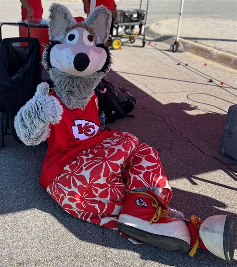 How Chiefs Mascot KC Wolf Nearly Died On The Job - Los Angeles Times