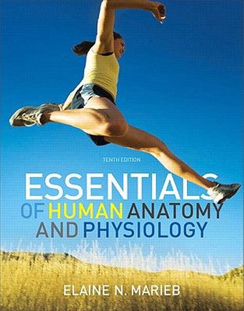 Essentials Of Human Anatomy Andphysiology By Elaine Nicpon Marieb