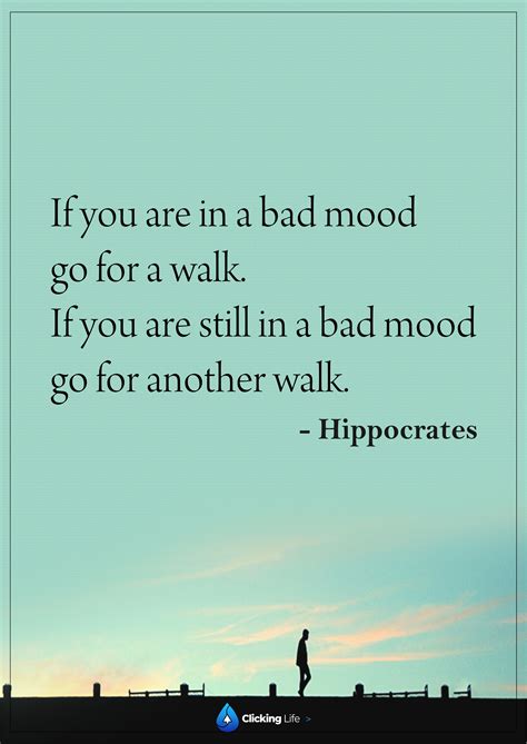 If You Are In A Bad Mood Go For A Walkif You Are Still In A Bad Mood