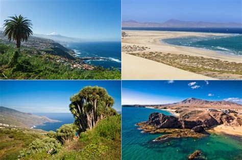 Die kanarischen inseln sind zweifelsohne ein ideales urlaubsziel. Kanaren: Welche Insel passt am besten zu mir? | TRAVELBOOK
