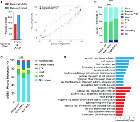 Genotype Effect From Whole Genome Bisulfite Sequencing Genomic