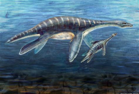 However, smaller dinosaurs living at mid to high latitudes could not have had high and stable also, dinosaurs lacked a turbinate. Ocean Acidification Research Suggests Return To Dinosaur ...