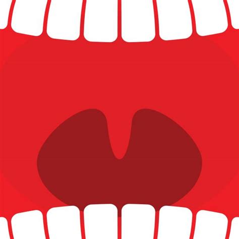 Royalty Free Uvula Clip Art Vector Images And Illustrations Istock