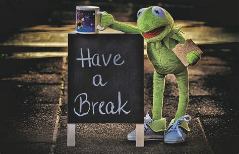 Kermit Cup Drink Coffee Break Coffee Break Free Image From
