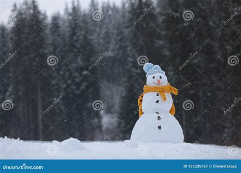 Adorable Smiling Snowman Outdoors On Winter Day Stock Image Image Of