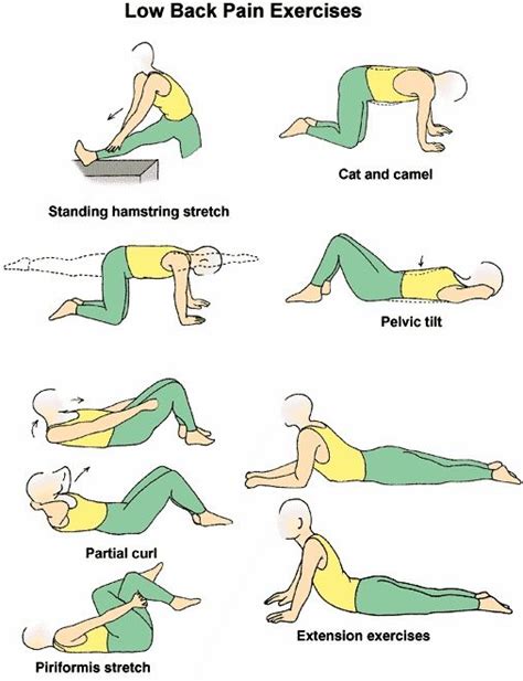 Ideally, lower back exercises should target all of the lower back muscles on both sides of the spine. Lower back exercises, Back exercises and Lower backs on ...