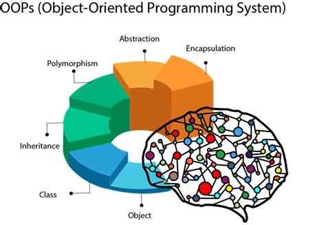 Object Oriented Programming Javascript Object Oriented Programming