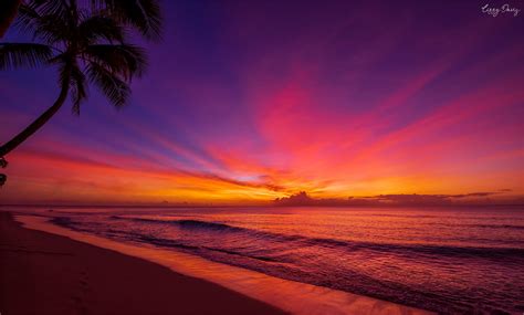 10 Beautiful Sunset Photos That Will Make You Want To Visit Barbados