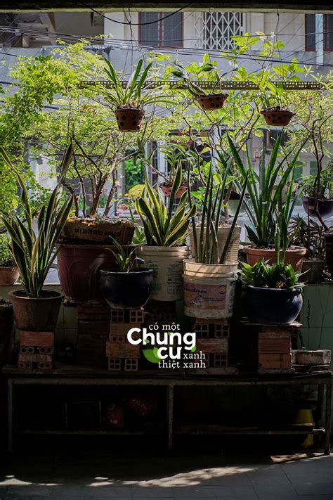 Exploring the Green Oases Hidden Inside D5's Old Apartment Buildings