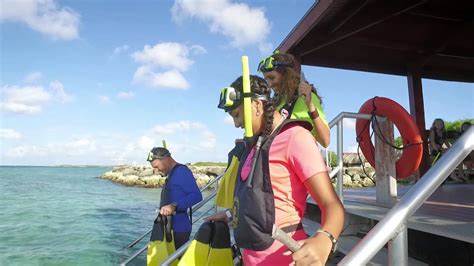 Snorkeling At De Palm Island Youtube