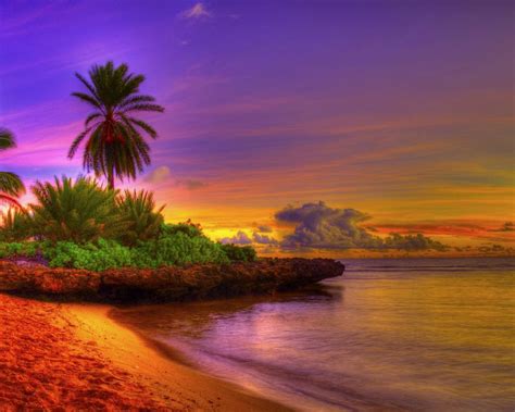 Free Download Sunrise Tropical Beach 15592 Wallpaper