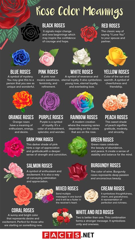 Rose Color Meanings Flower Meanings Meaning Of Flowers Rose Meaning