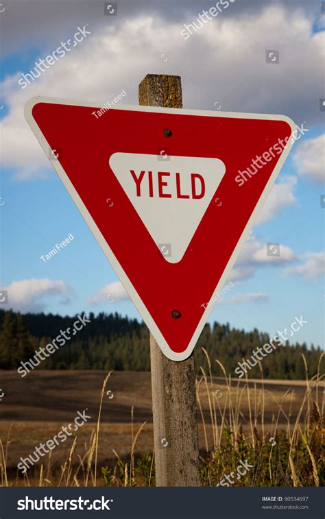A New Red Yield Sign Is Bolted To An Old Mossy Post On A Country Road