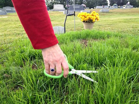 Lynda Taylor Smith Cutting The Grass