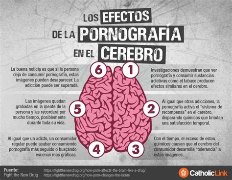 Infografía Los efectos de la pornografía en el cerebro Catholic Link