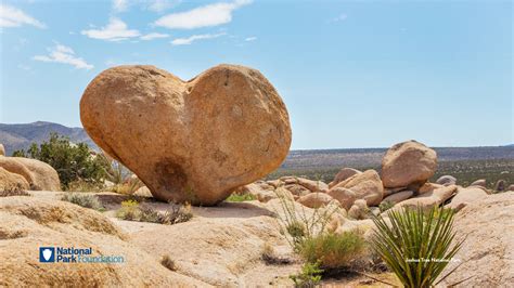 Joshua Tree National Park Heart Our Over 400 National Parks Stand Not