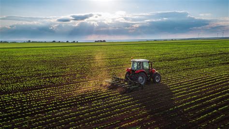 Sector Agropecuario En México Avanza Con Tecnología