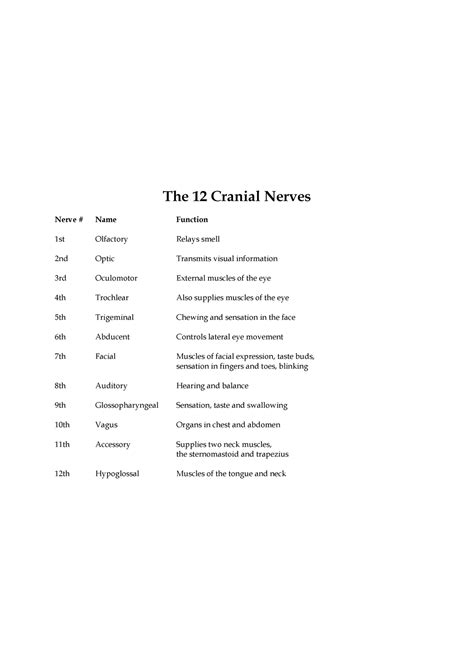 cranial nerve the 12 cranial nerves nerve name function 1st olfactory relays smell 2nd optic